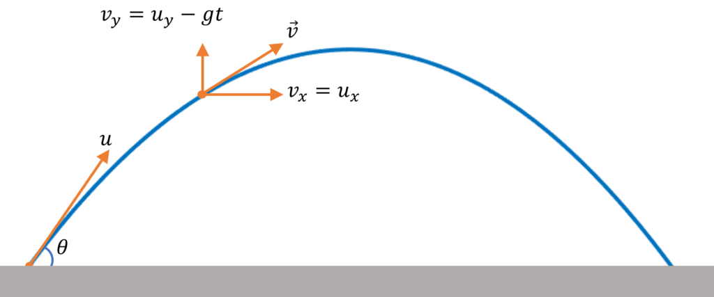 Projectile Motion Velocity Time Graph